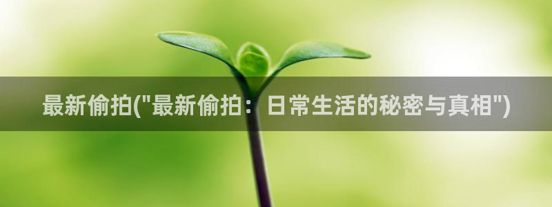 ktv卫生间偷拍：最新偷拍(\