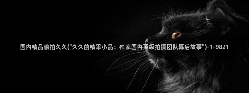 偷拍自拍大全：国内精品偷拍久久(\